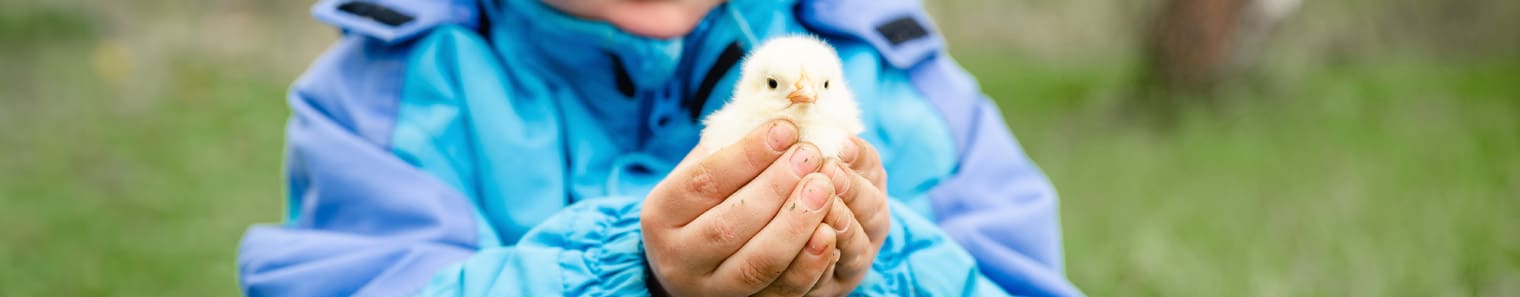 Small Animal Care in Liberty Lake