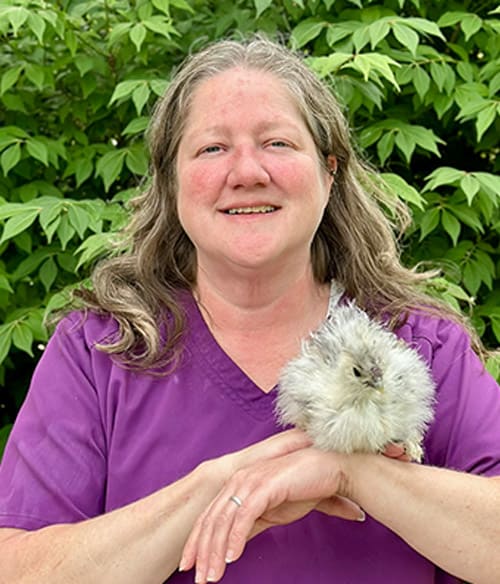 Dr. Meagan Bright, Liberty Lake Veterinarian