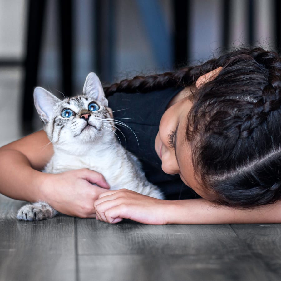 Cat & Dog Wellness Exams, Liberty Lake